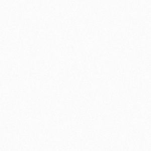 Meet your Posher, Ashly